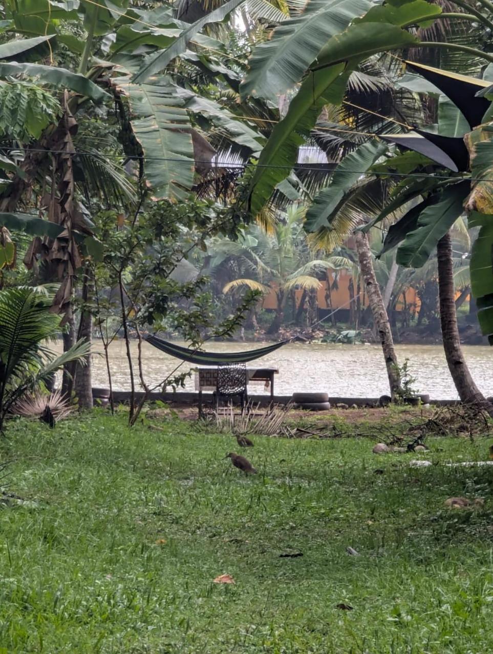 Islandstay-A Riverside Property Kollam Exterior photo